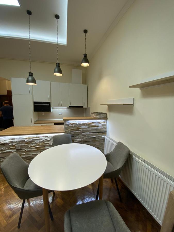 Centre Ville Apartment Cluj-Napoca Eksteriør billede