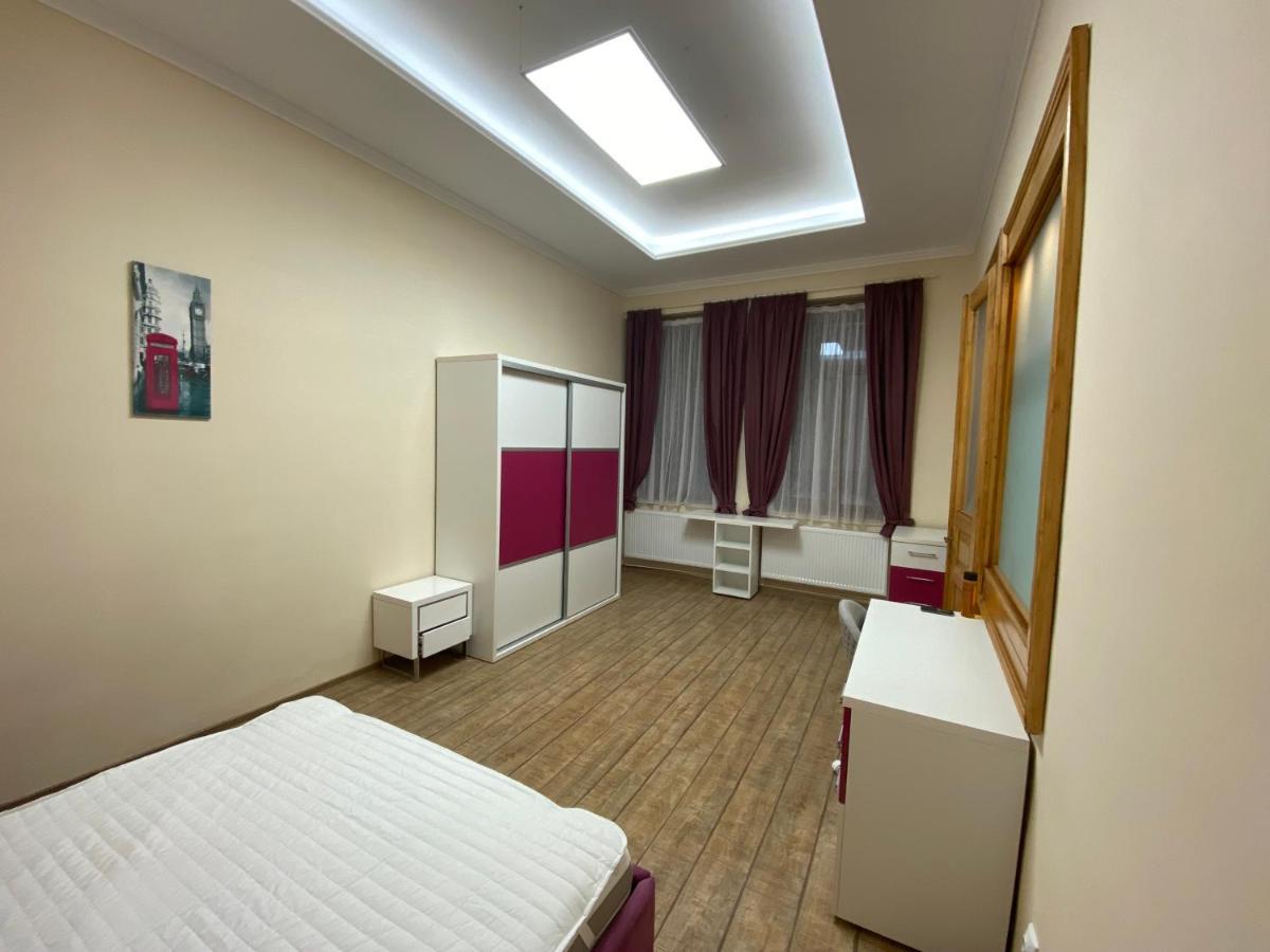 Centre Ville Apartment Cluj-Napoca Eksteriør billede